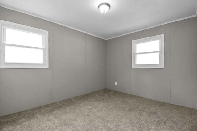 spare room with light carpet and ornamental molding