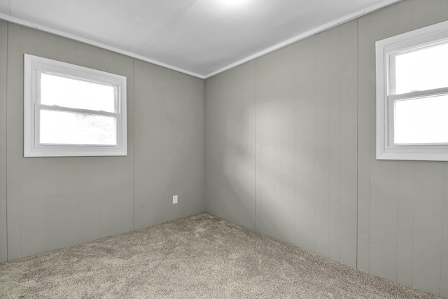 empty room with light carpet and wood walls