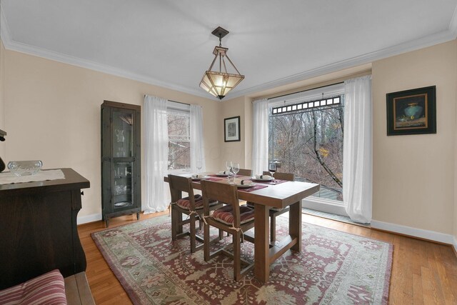 dining space with light hardwood / wood-style floors and crown molding