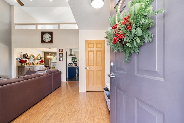 foyer with light hardwood / wood-style flooring and a high ceiling