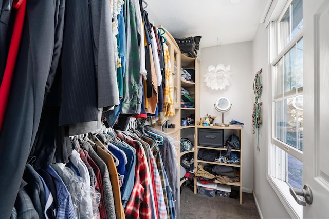 walk in closet featuring carpet floors