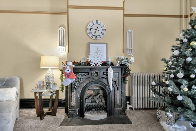 details featuring carpet floors and radiator