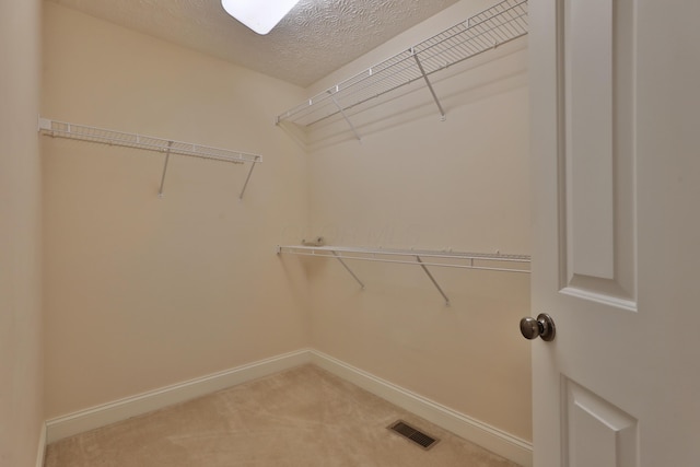 walk in closet with carpet flooring