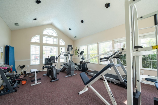 gym featuring a textured ceiling, plenty of natural light, and vaulted ceiling