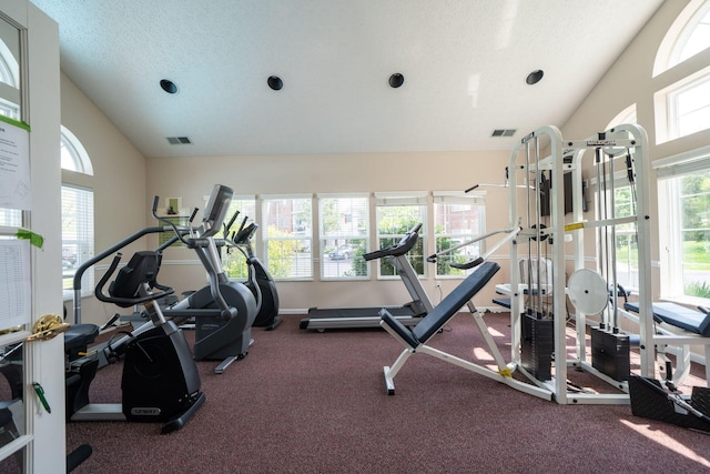 exercise room featuring a textured ceiling and vaulted ceiling