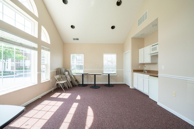 interior space with carpet floors, sink, and high vaulted ceiling