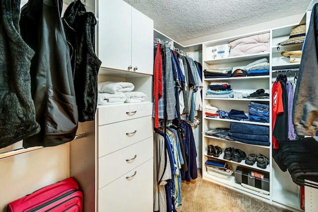 spacious closet featuring light hardwood / wood-style floors