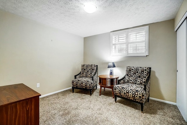 sitting room with light carpet and a textured ceiling