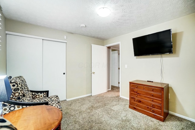 sitting room with carpet and a textured ceiling