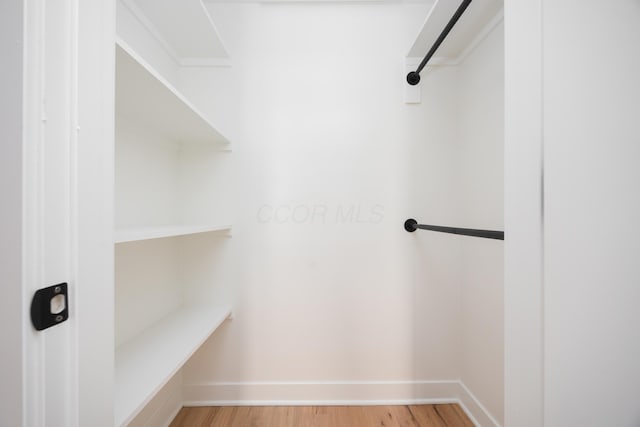 walk in closet with light hardwood / wood-style floors