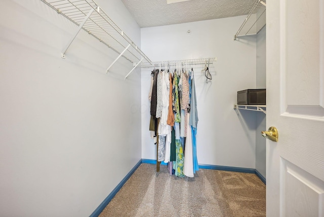 spacious closet with carpet