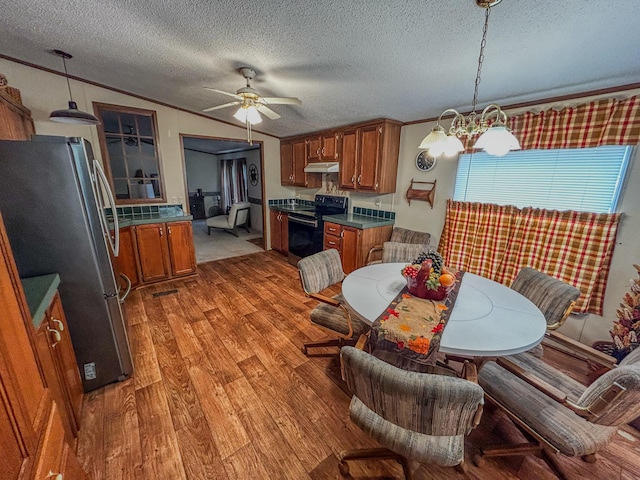 kitchen featuring appliances with stainless steel finishes, ceiling fan with notable chandelier, a textured ceiling, pendant lighting, and light hardwood / wood-style flooring