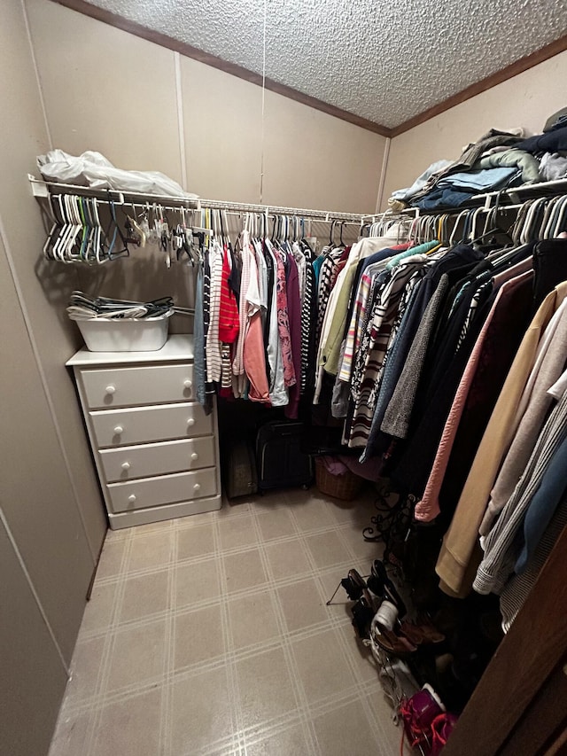 view of walk in closet