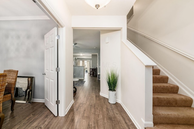 interior space featuring dark hardwood / wood-style flooring