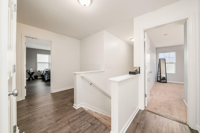 hallway with dark hardwood / wood-style floors and a wealth of natural light