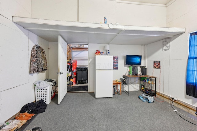 miscellaneous room featuring carpet