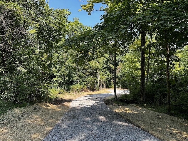 9562 Township Rd 57 Unit Tract 3At, Sheridan Woods Roseville, OH 43777