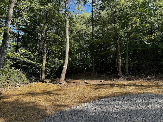 9614 Township Rd 57 Unit Tract 2At, Sheridan Woods Roseville, OH 43777