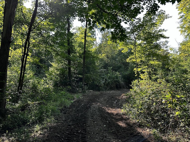 9614 Township Rd 57 Unit Tract 2At, Sheridan Woods Roseville, OH 43777