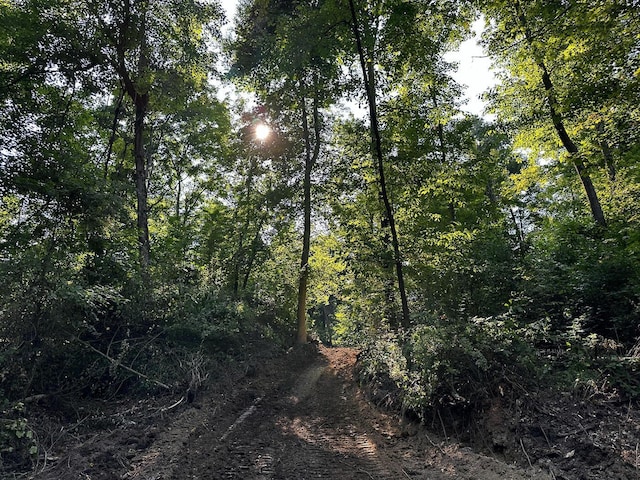9614 Township Rd 57 Unit Tract 2At, Sheridan Woods Roseville, OH 43777