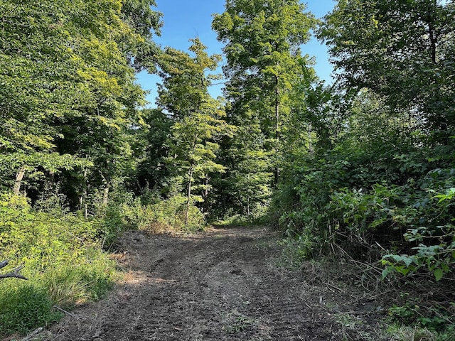 9614 Township Rd 57 Unit Tract 2At, Sheridan Woods Roseville, OH 43777