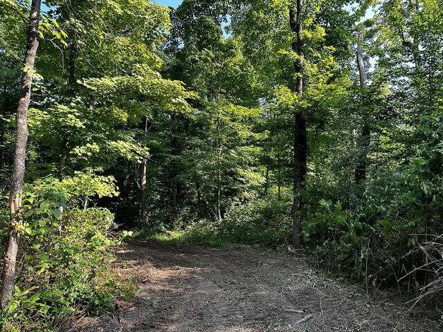 9614 Township Rd 57 Unit Tract 2At, Sheridan Woods Roseville, OH 43777