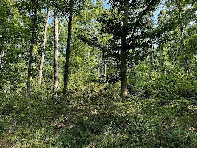 9614 Township Rd 57 Unit Tract 2At, Sheridan Woods Roseville, OH 43777