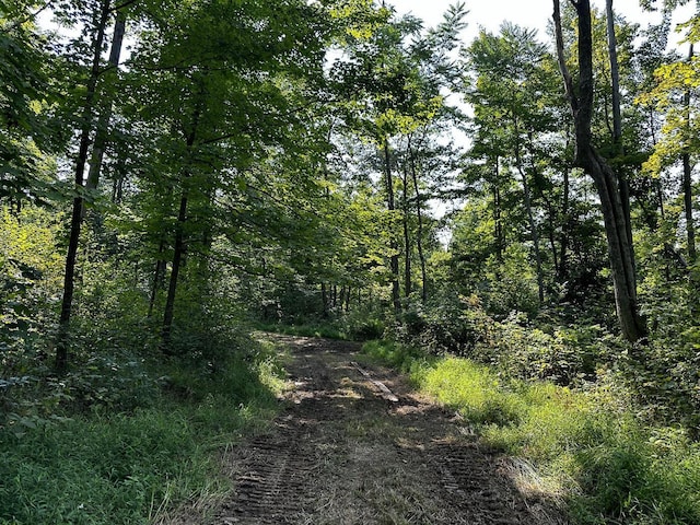 9614 Township Rd 57 Unit Tract 2At, Sheridan Woods Roseville, OH 43777