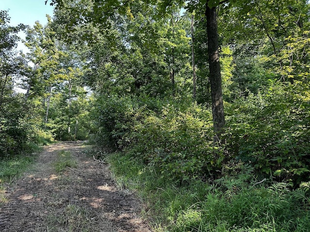 9614 Township Rd 57 Unit Tract 2At, Sheridan Woods Roseville, OH 43777