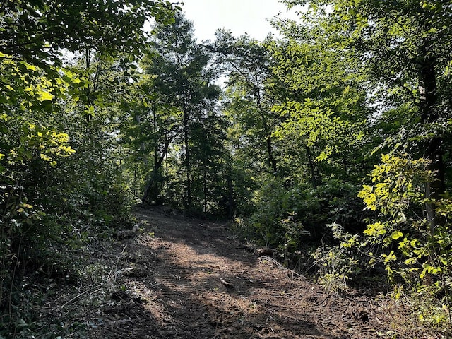 9614 Township Rd 57 Unit Tract 2At, Sheridan Woods Roseville, OH 43777