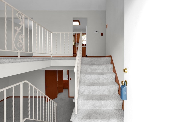 stairs with carpet flooring