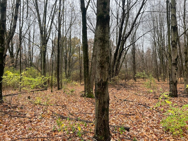 view of landscape