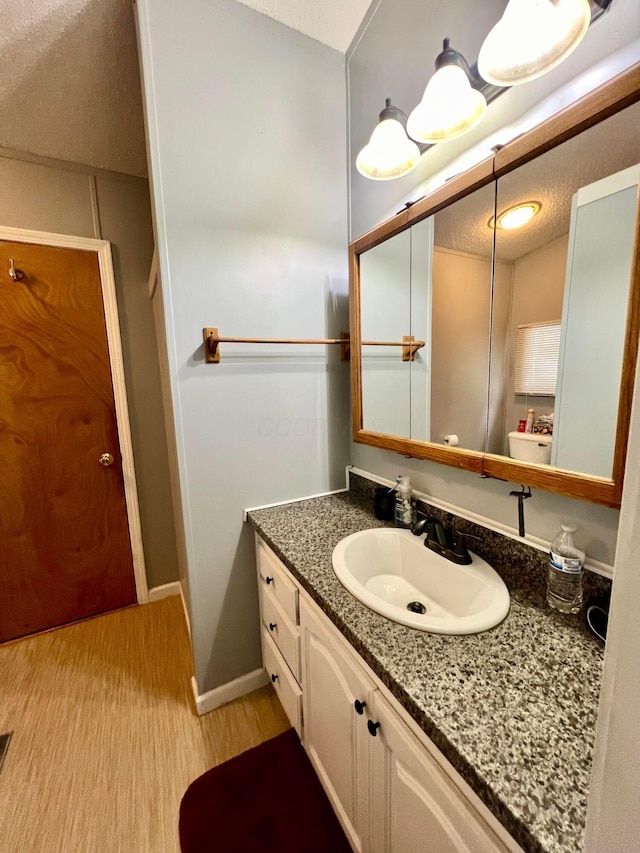 bathroom with vanity, hardwood / wood-style flooring, and a textured ceiling