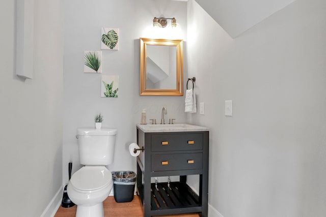 bathroom featuring vanity, toilet, and wood-type flooring