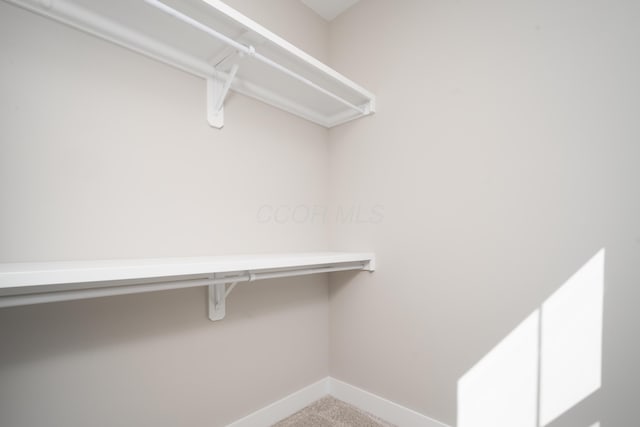 spacious closet with carpet