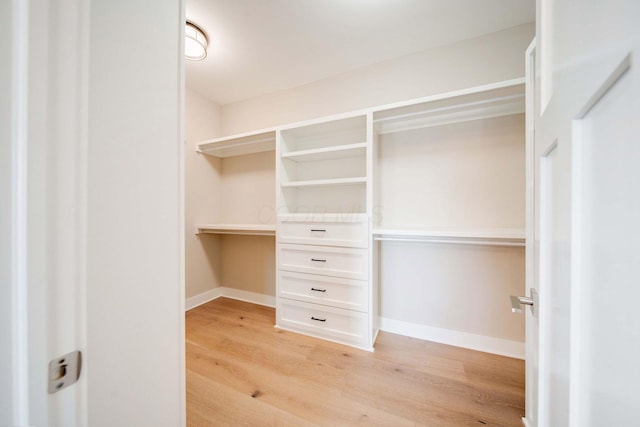 spacious closet with light hardwood / wood-style floors