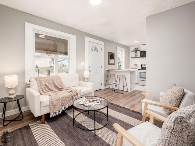 living room with wood-type flooring