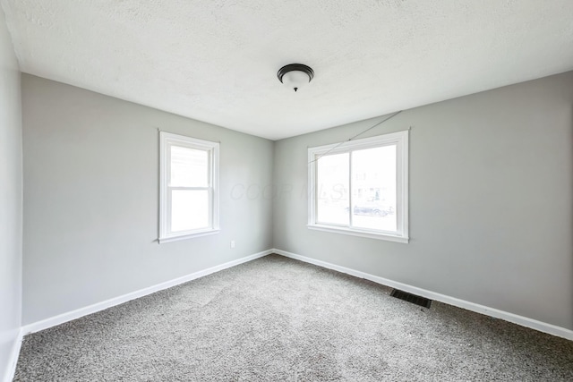 unfurnished room with a wealth of natural light, carpet floors, and a textured ceiling