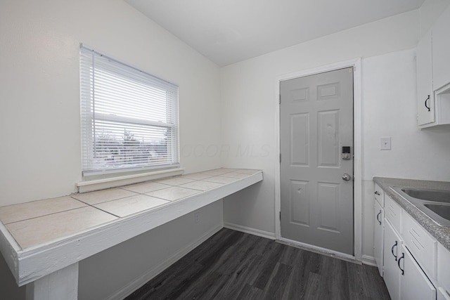 interior space with dark wood-type flooring and sink