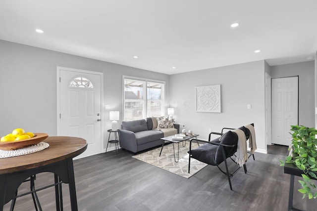 living room featuring dark hardwood / wood-style flooring