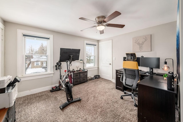 office featuring carpet flooring and ceiling fan