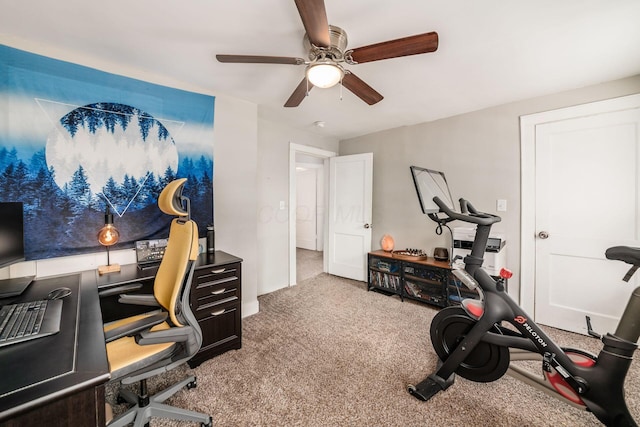 office with ceiling fan and carpet floors