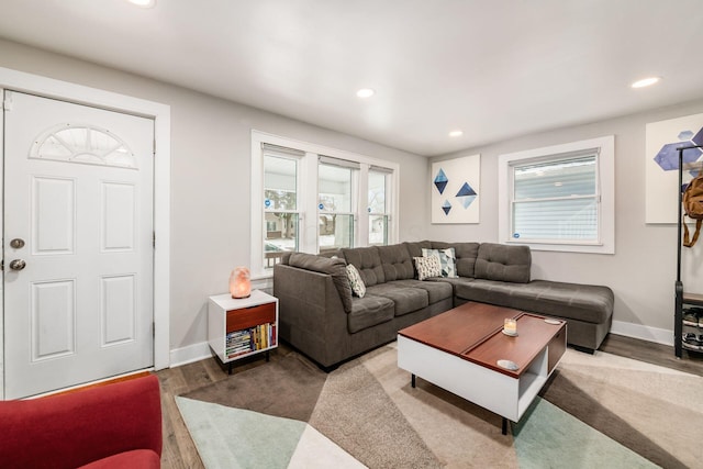 living room with hardwood / wood-style flooring and plenty of natural light