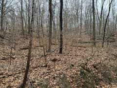 0 Wolverine Ln SE, Sugar Grove OH, 43155 land for sale