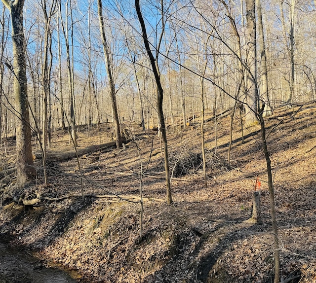 0 Wolverine Ln SE, Sugar Grove, OH 43155