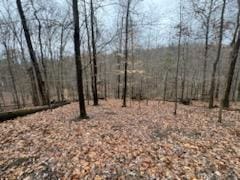 0 Bearclaw Ct SE, Sugar Grove OH, 43155 land for sale