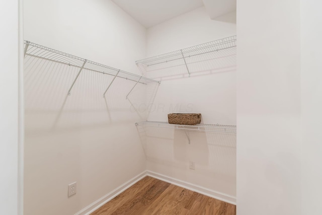 walk in closet with hardwood / wood-style floors