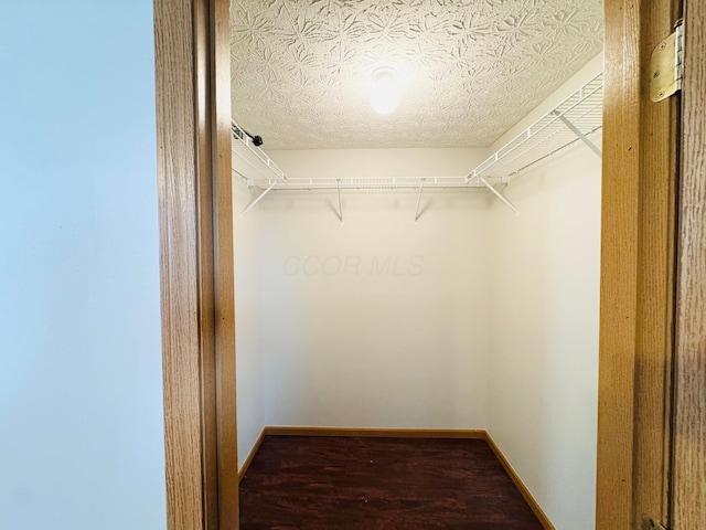 spacious closet with wood finished floors