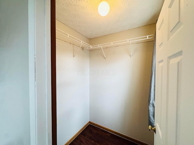 walk in closet featuring dark wood-type flooring