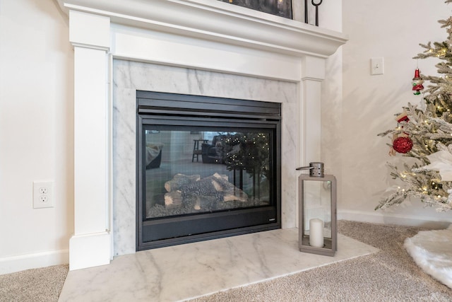 room details with carpet and a premium fireplace